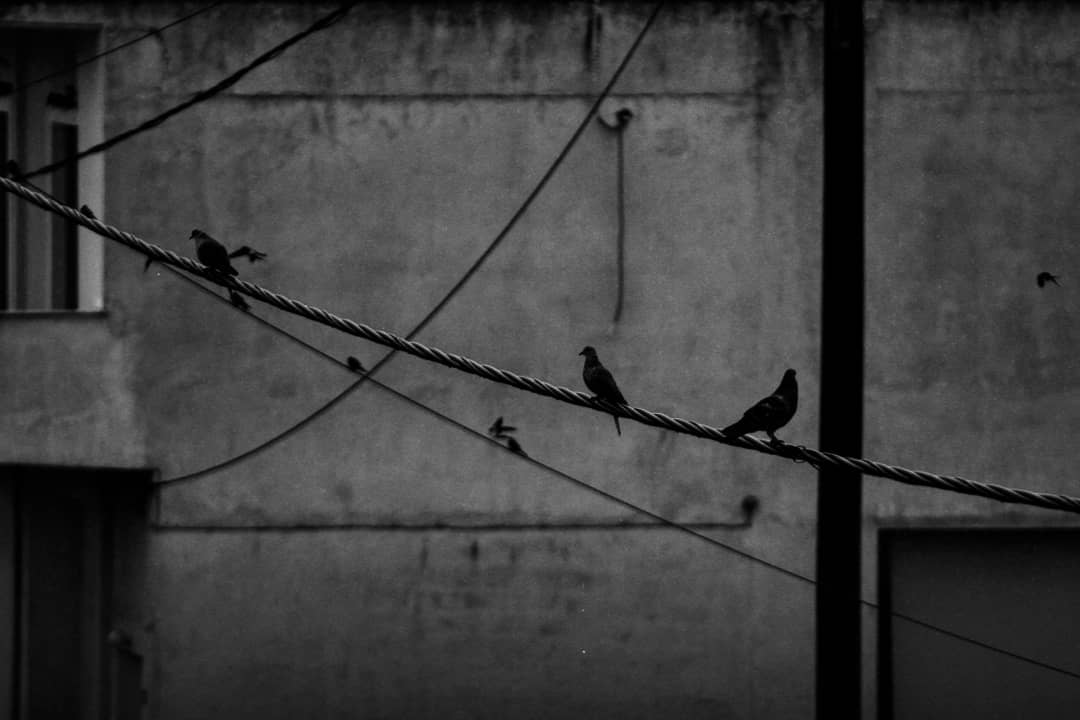 Photo by Sofia Tsofio