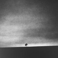 Διττότητα #2