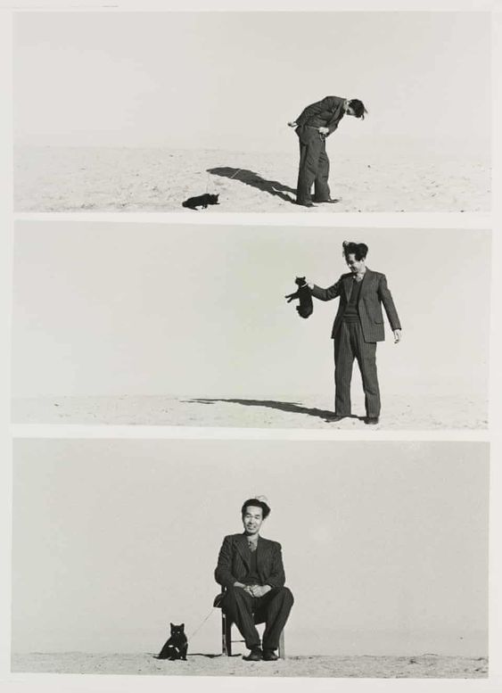 i-poiisi-gourgourizei