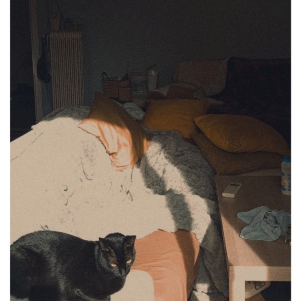 δύο για το γουργουρητό της&nbsp;γάτας