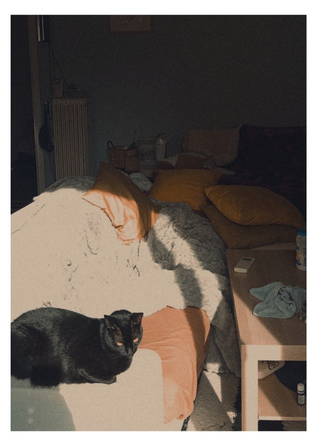 δύο για το γουργουρητό της&nbsp;γάτας